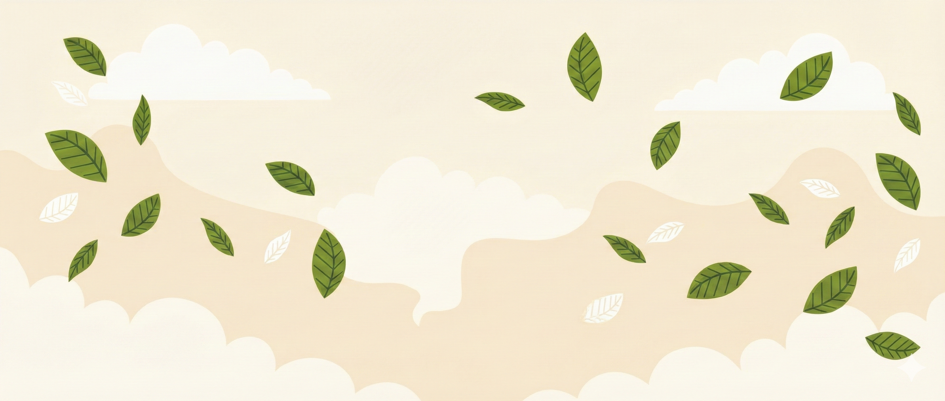 collection-banner-image